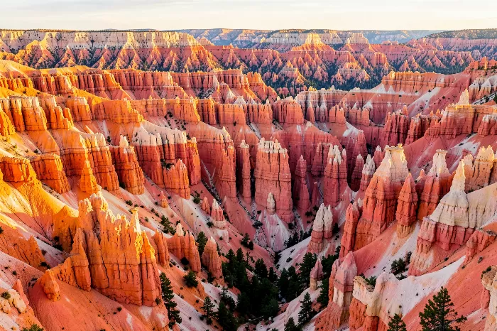 Amber Spires II