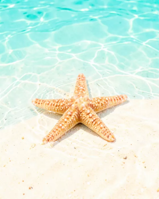 Tide Star