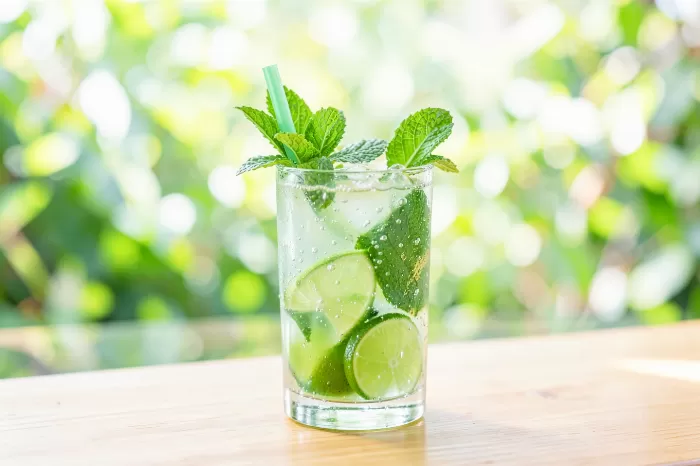 Mint Mojito