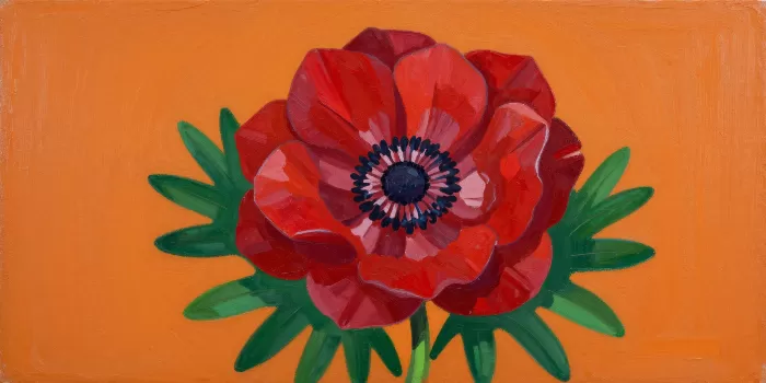 Anemone Bold