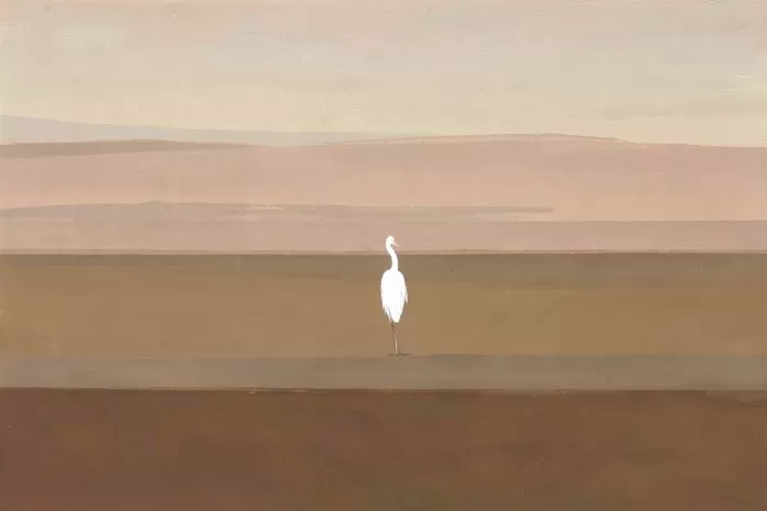 Field Quiet