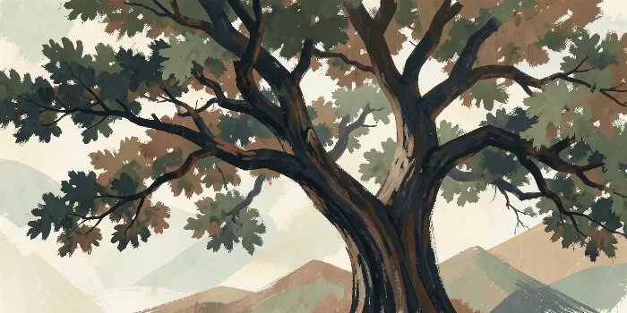 Sage Canopy