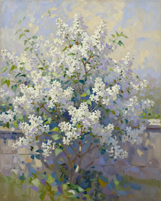 White Bloom