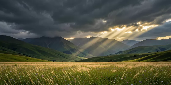 Storm Meadow