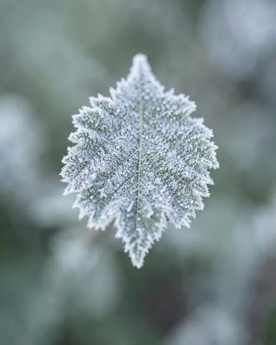 Crystal Edge
