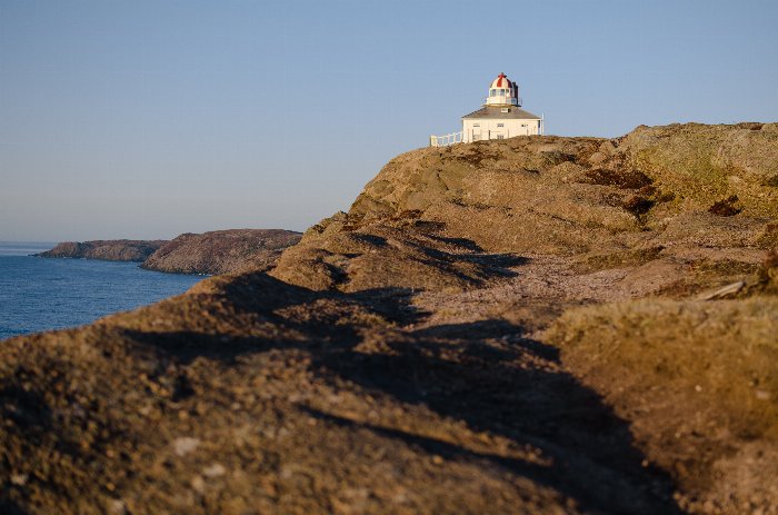 Morning Spear - Newfoundland art print