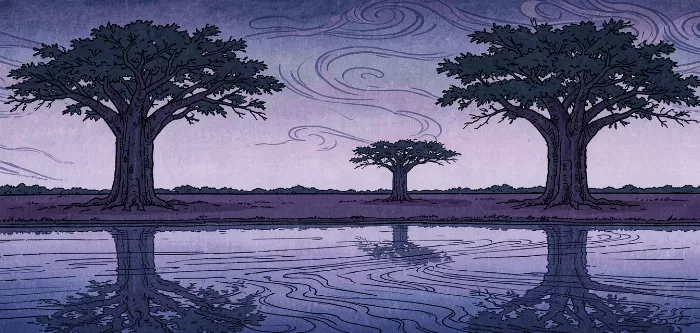 Baobab Twilight