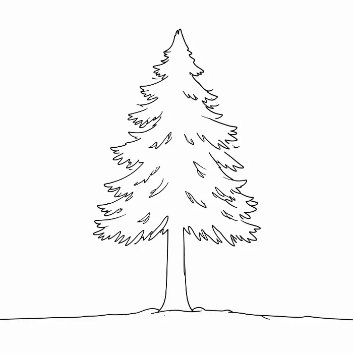 Fir Line