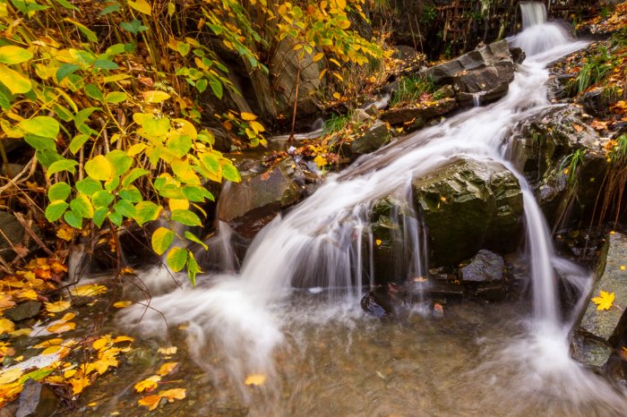 Willow Falls - Newfoundland art print