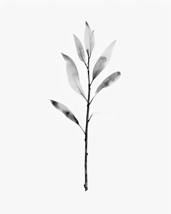Ink Sprig