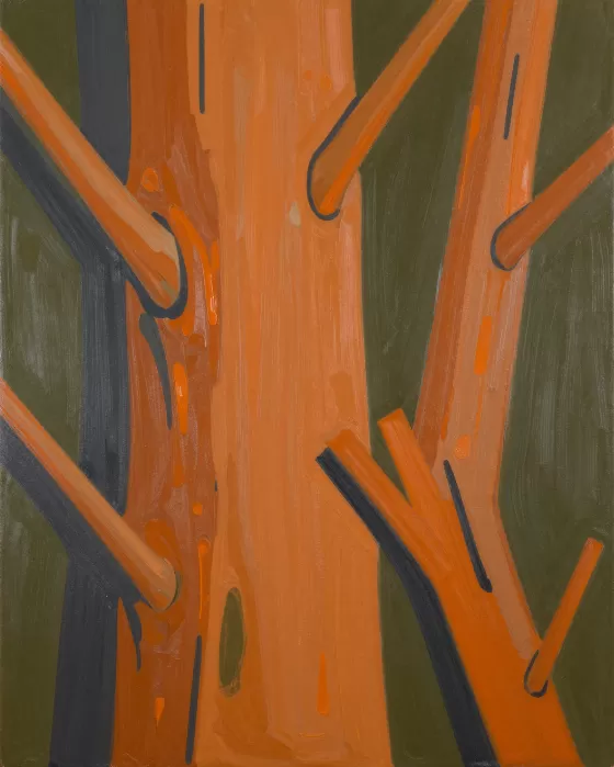 Bark Planes