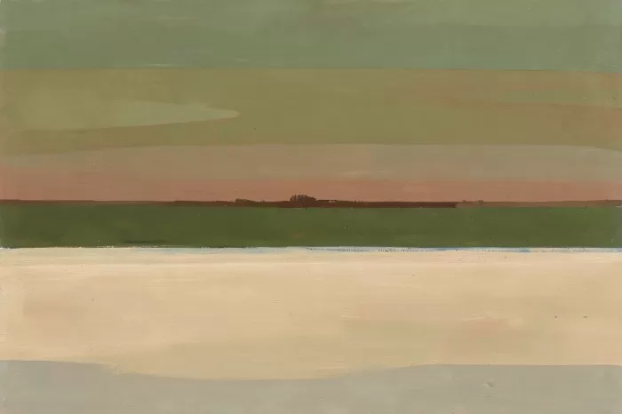 Soft Fields