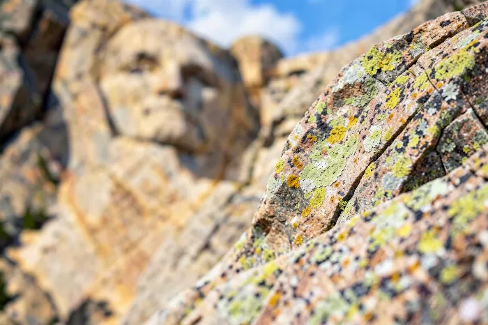 Granite Grip
