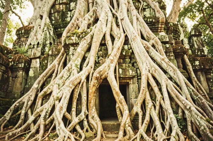 Ta Prohm