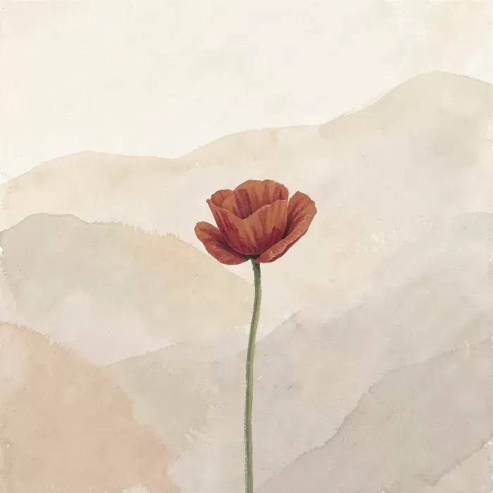 Rust Poppy