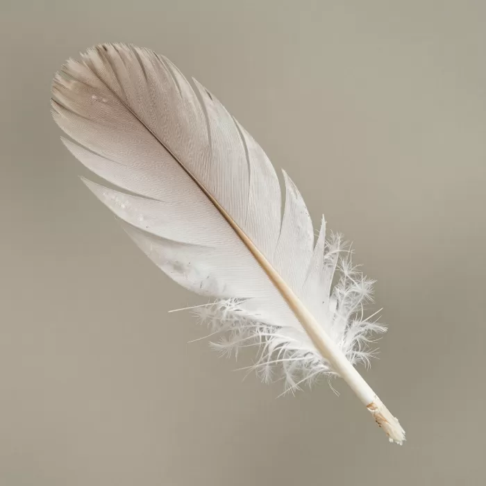 Feather Light