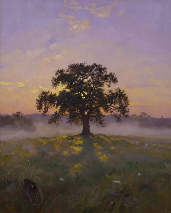 Hilltop Oak