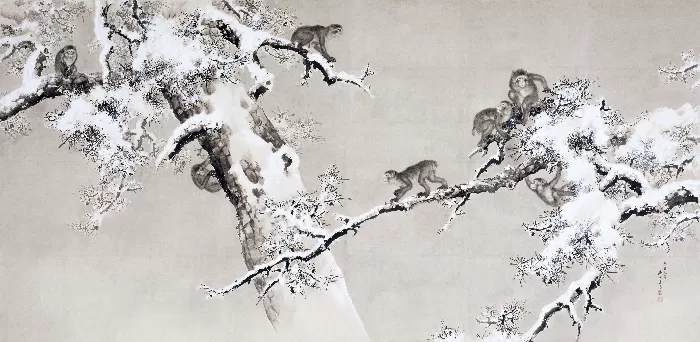 Monkeys and pine trees