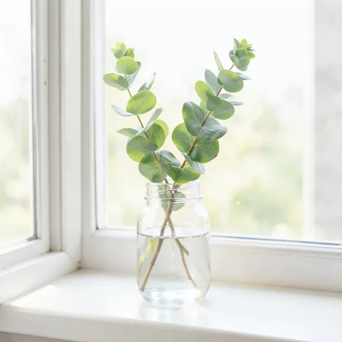 Eucalyptus Light
