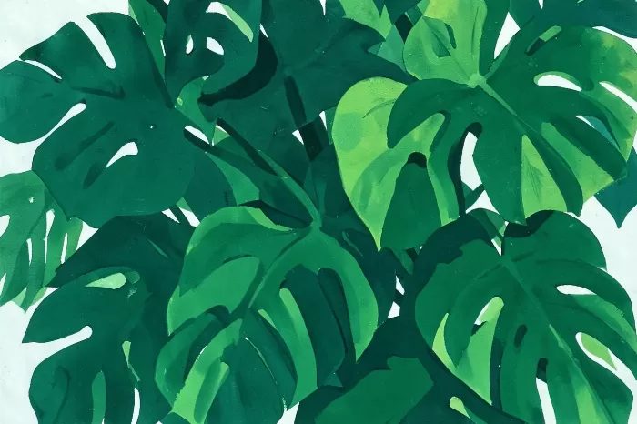 Monstera Cluster