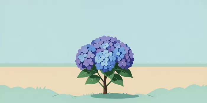 Hydrangea Field