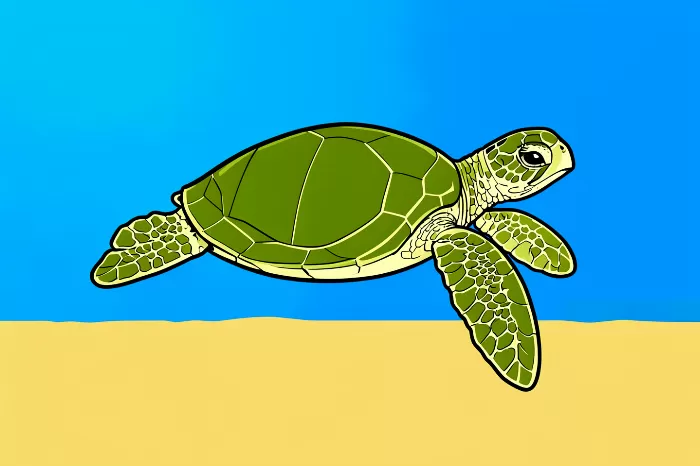 Turtle Pop