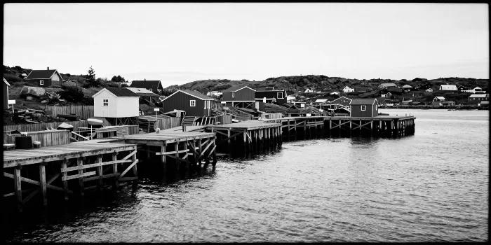 Harbour Flakes