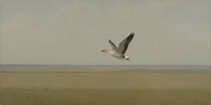 Olive Horizon