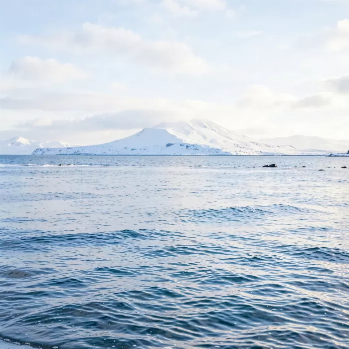 Snowy Sound