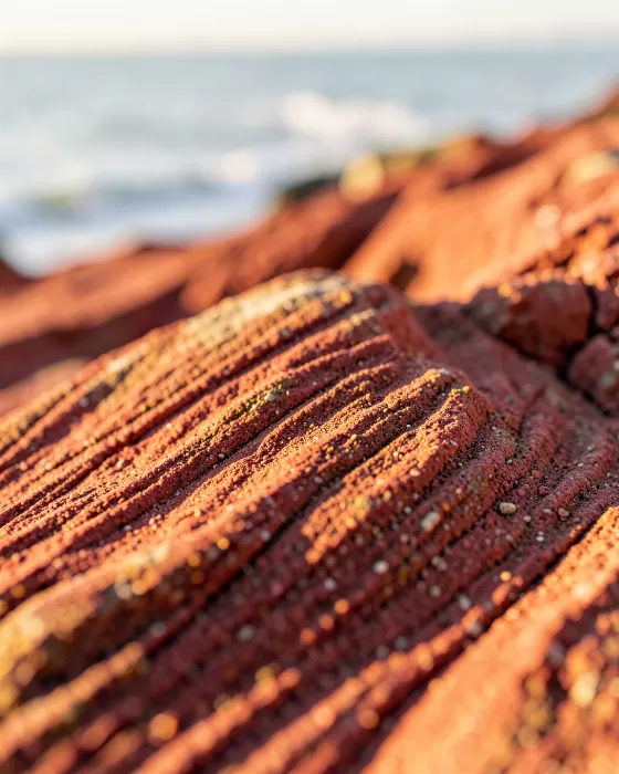 Crimson Coast
