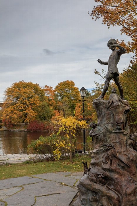 Peter Pan - Newfoundland art print