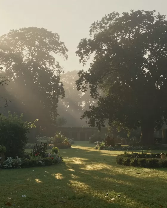 Misty Sanctuary