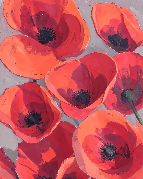 Coral Poppies