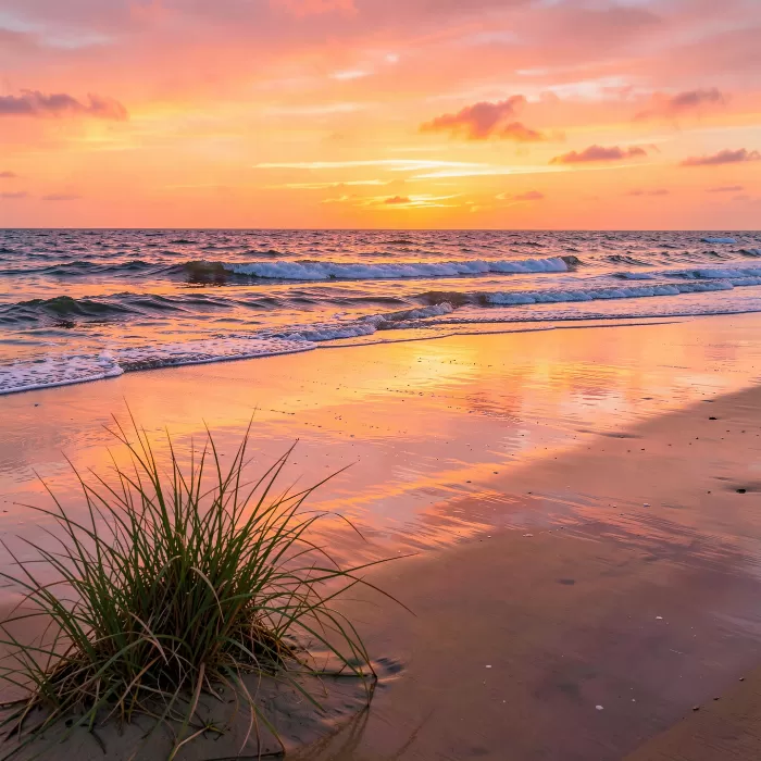 Dune Reflection