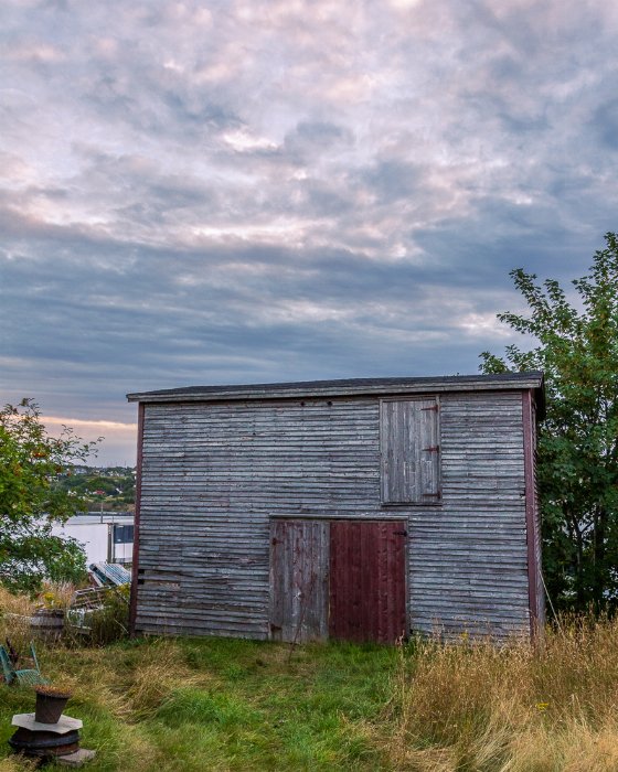 The Twine Loft - Newfoundland art print