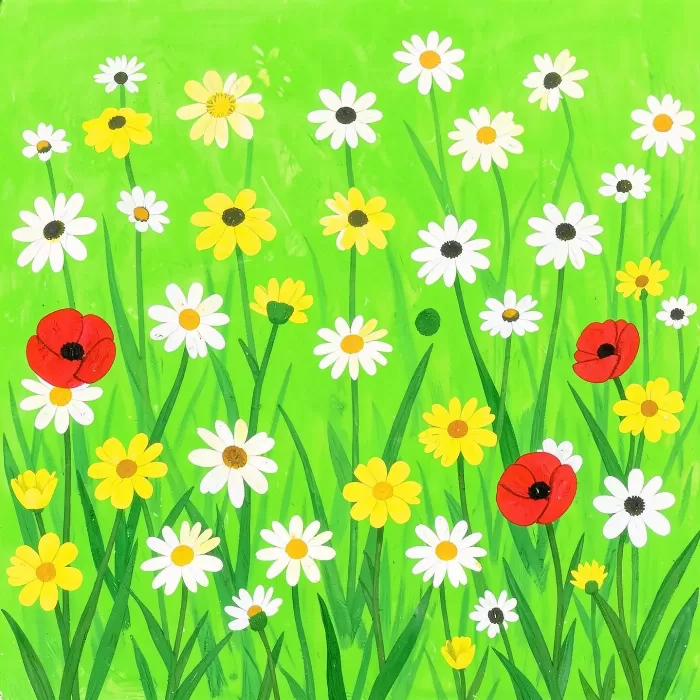 Daisy Meadow