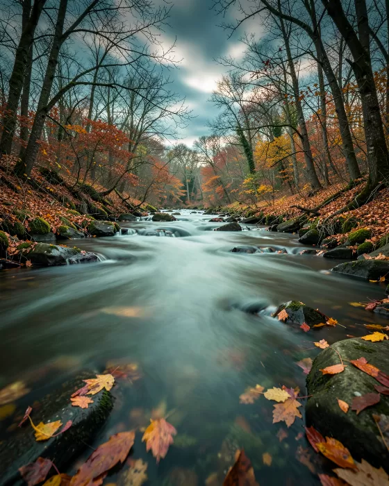 Autumn Silk