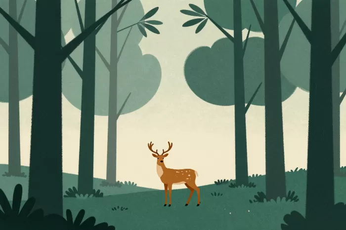 Forest Stag