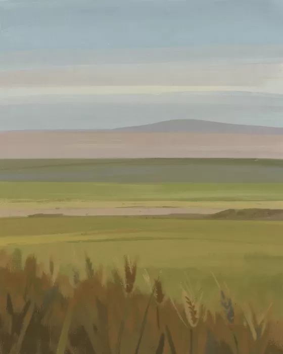 Open Fields