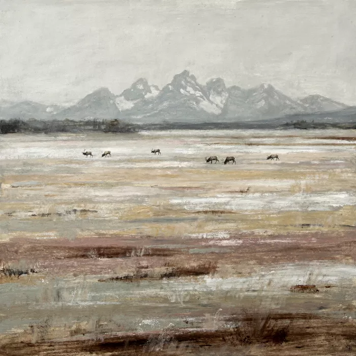 Teton Meadow