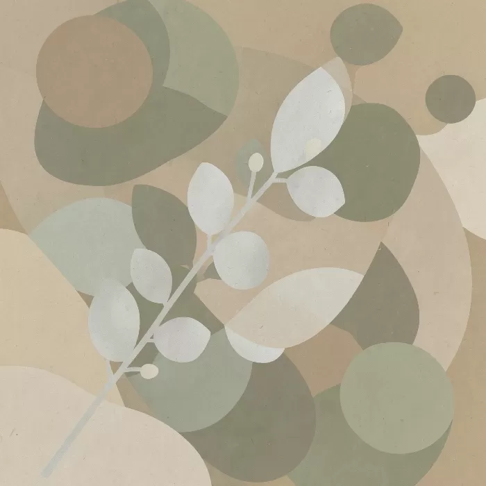 Olive Geometry