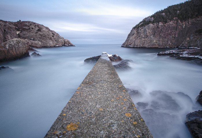 QV gut - Newfoundland art print