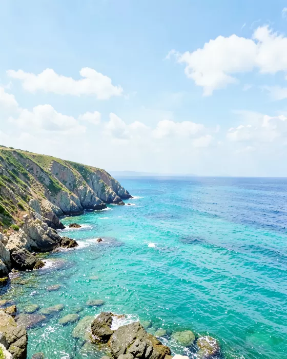 Turquoise Noon