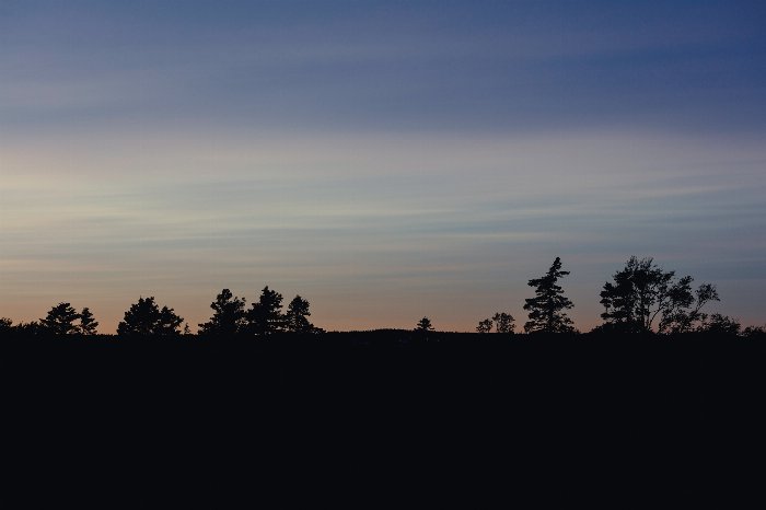 Park Silhouette - Newfoundland art print