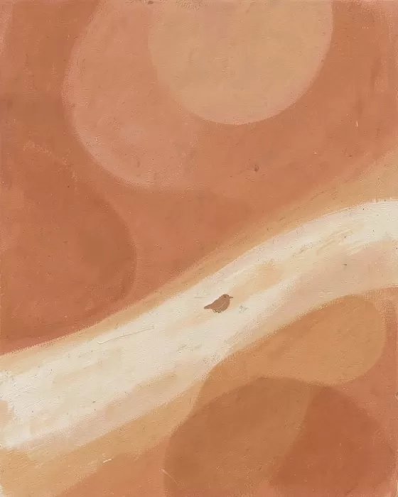 Desert Finch