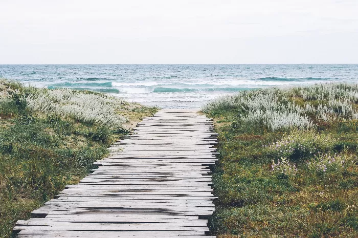 Wooden path through the grass toward the ocean beach