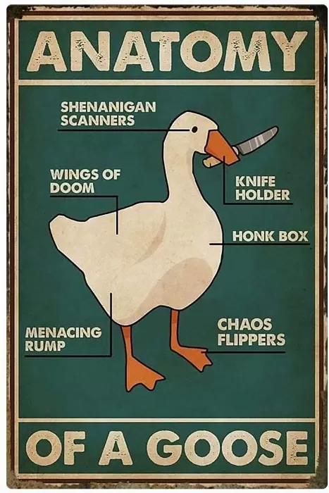 Anatomy of a Goose