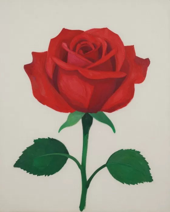 Red Rosebud