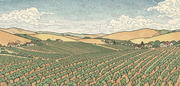 Barossa Vineyards