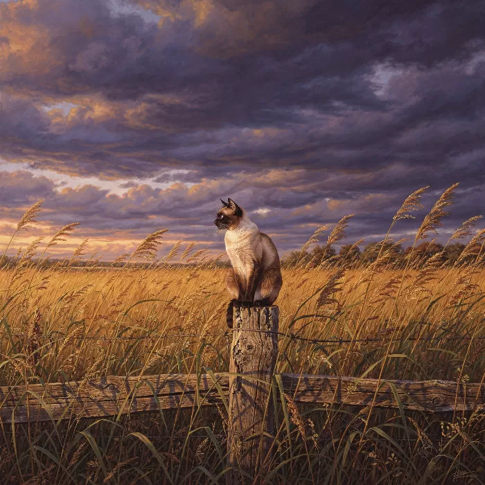 Fencepost Watcher